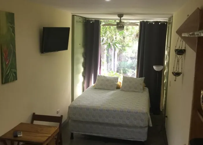 Hostel Cocobolo Shipping Container Studio #1